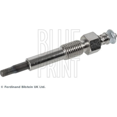 BluePrint Glühkerze BluePrint Glühkerze