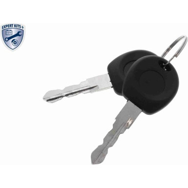 VAICO Türgriff V10-6107 Expert Kits +
