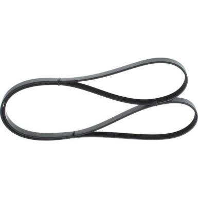 1 987 946 290 Keilrippenriemen