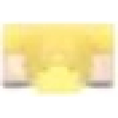 1 987 529 048 Sicherung