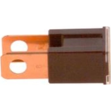 1 987 529 076 Sicherung