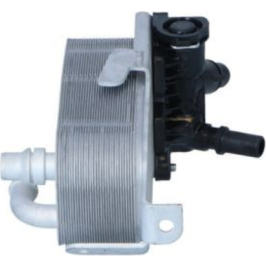 Ölkühler, Motor“L | 31857