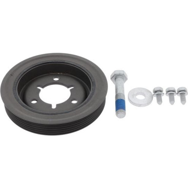 CORTECO Samen 80004883