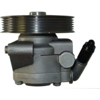 SPIDAN Hydraulikpumpe 54389 SPIDAN Hydraulikpumpe 54389