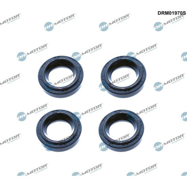 Dichtring, Kerzenschacht | DRM01970S