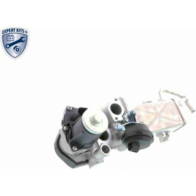 VEMO AGR-Ventil V10-63-0083 Expert Kits +
