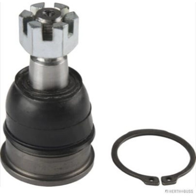 82 303 075 Traggel. VA unten li/re | TOYOTA Avensis Verso 01 | J4862061