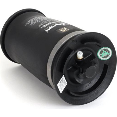 ARNOTT Fahrwerksfeder | A-2755