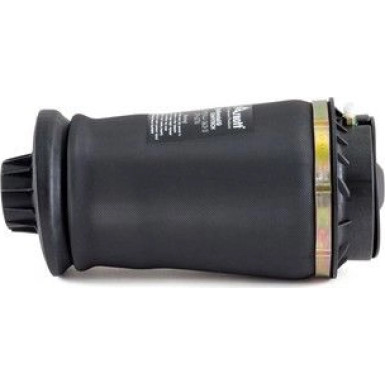 A-2596 Luftfeder, Fahrwerk