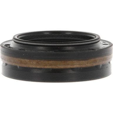 01033859B Wellendichtring, Differential