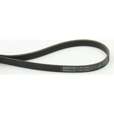 CONTINENTAL CTAM Keilrippenriemen 5PK1200