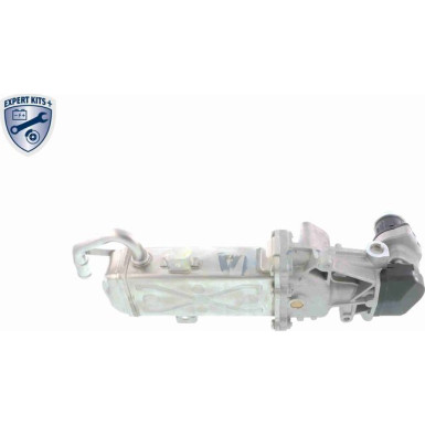 VEMO AGR-Ventil V10-63-0083 Expert Kits +
