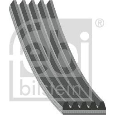 FEBI BILSTEIN Rillenriemen | 28854