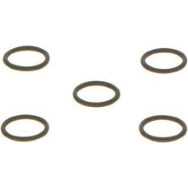 O-Ring | Diverse | F 01M 100 389