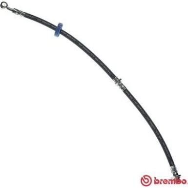 BREMBO Bremsschlauch | T 79 008