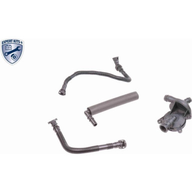 VAICO Reparatursatz, Kurbelgehäuseentlüftung V20-1873