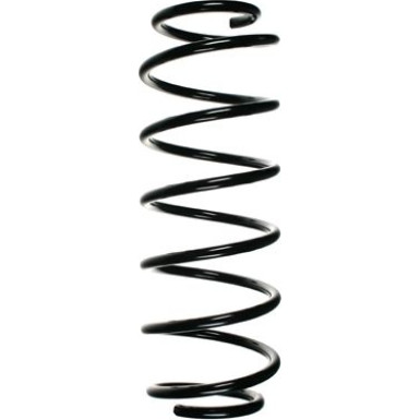 SPIDAN Fahrwerksfeder