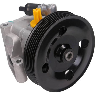 48-0113 Hydraulikpumpe, Lenkung 48-0113 Hydraulikpumpe, Lenkung
