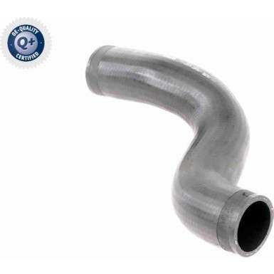 VAICO Ladeluftschlauch V10-2910