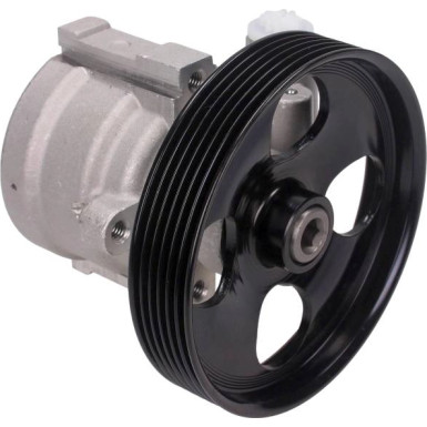 Servopumpe Peugeot Partner 2.0Hdi 00 | 48-0089