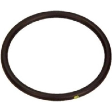 Wasserpumpendichtung Fiat Ducato 06- / Iveco | 17289680
