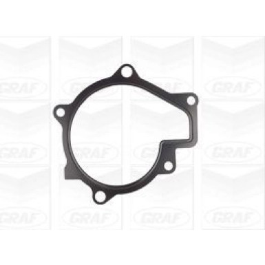 PA 1174 Wasserpumpe | HYUNDAI Santa Fe III 2.0 CRDi 12 | PA1174