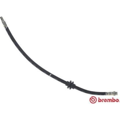 BREMBO Bremsschlauch BREMBO Bremsschlauch