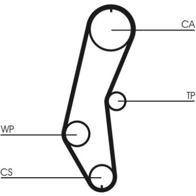 Continental CTAM Zahnriemen CT666