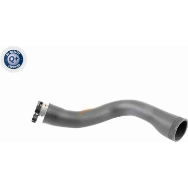VAICO Ladeluftschlauch V40-1364
