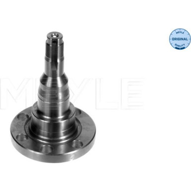 12 325 007 Radnabe HA li/re AUDI,SEAT,VW MEYLE-ORIGINAL: True to OE 1005011010 12 325 007 Radnabe HA li/re AUDI,SEAT,VW MEYLE-ORIGINAL: True to OE 1005011010