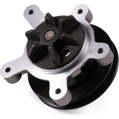 HEPU Wasserpumpe P210 HEPU Wasserpumpe P210