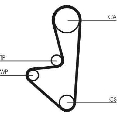 Zahnriemen | CT607