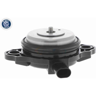 VAICO Zentralmagnet, Nockenwellenverstellung VAICO Zentralmagnet, Nockenwellenverstellung