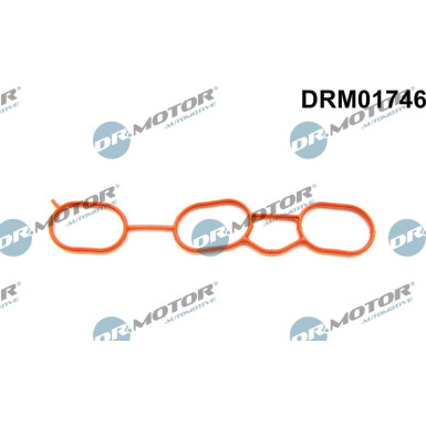 DR.MOTOR Dichtung, Ansaugkrümmer DRM01746