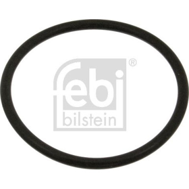 Dichtung, Kühlmittelflansch | 18774 Dichtung, Kühlmittelflansch | 18774