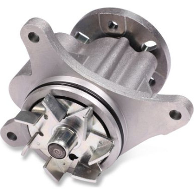 HEPU Wasserpumpe P809