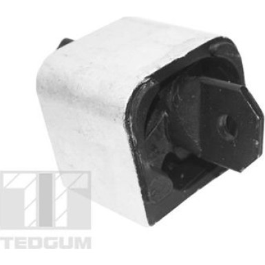 Lagerung, Motor | TED99764