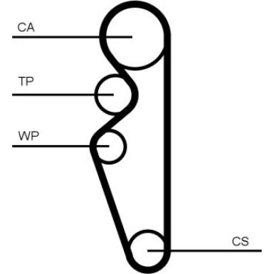 Continental CTAM Timing-Kit CT1164K1