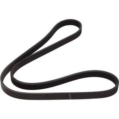 1 987 946 061 Keilrippenriemen