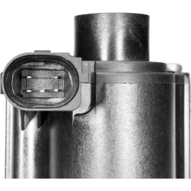 BorgWarner (Wahler) AGR-Ventil BorgWarner (Wahler) AGR-Ventil