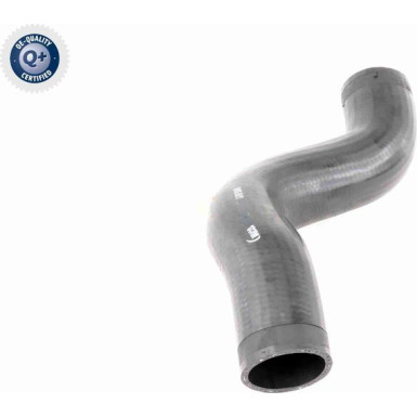 VAICO Ladeluftschlauch VAICO Ladeluftschlauch