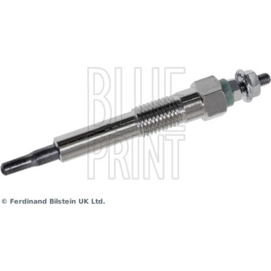 BluePrint Glühkerze BluePrint Glühkerze