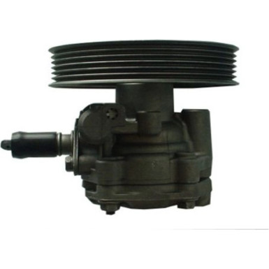 SPIDAN Hydraulikpumpe 54381 SPIDAN Hydraulikpumpe 54381