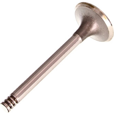 Einlassventil | V91337 Einlassventil | V91337