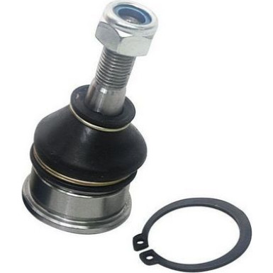 DENCKERMANN Schulterklopfen