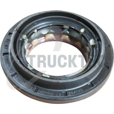 TRUCKTEC AUTOMOTIVE Versiegelung 02.67.251