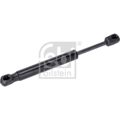 Gasfeder, Heckscheibe | 29268