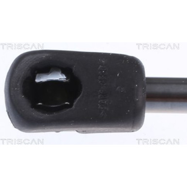 GASFEDER, MOTORHAUBE 871023134