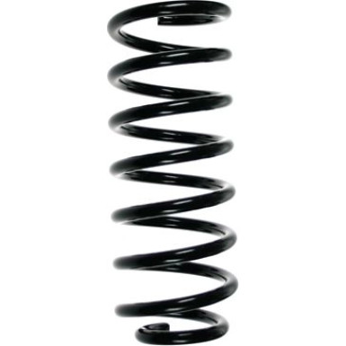 SPIDAN Fahrwerksfeder | 48371