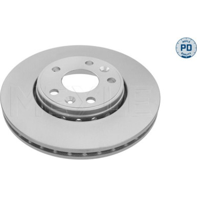 72 481 045PD Bremsscheibe VA Platinum RENAULT Laguna,Megane,Scenic 07 MEYLE-PD: Advanced performance and design 16-15 521 0041/PD